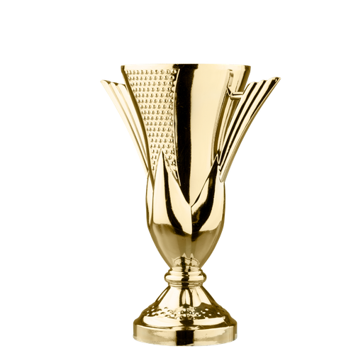 Free Initial Consultation Course